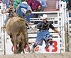 chinography > Rodeo - Sat/Sun 2005 photo